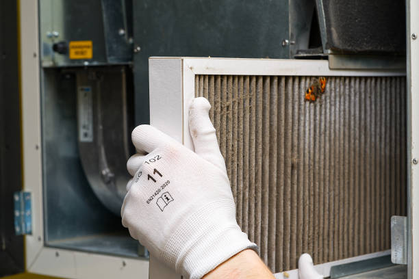 Best HVAC Maintenance and Cleaning  in Enigma, GA