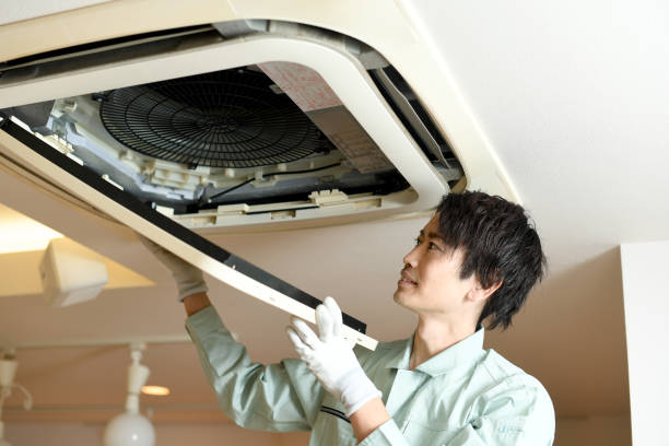 Best Home Air Vent Cleaning  in Enigma, GA